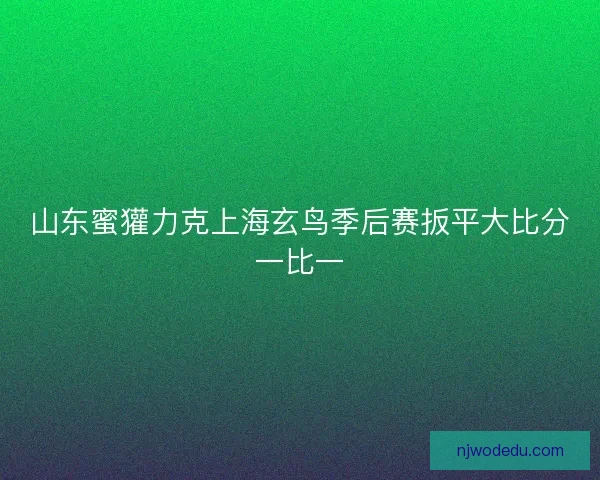 山东蜜獾力克上海玄鸟季后赛扳平大比分一比一